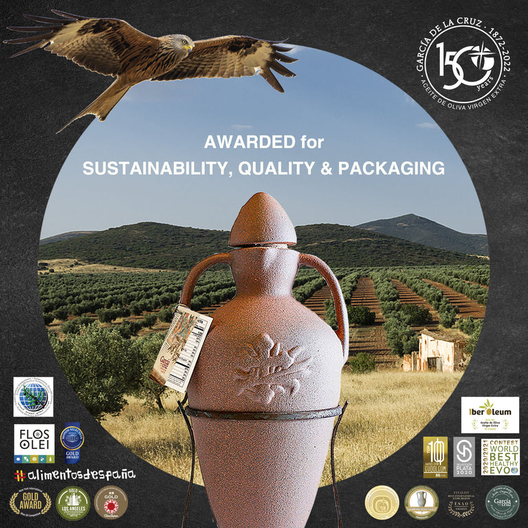One-Of-A Kind Amphora - Early Harvest - García de la Cruz Olive Oil